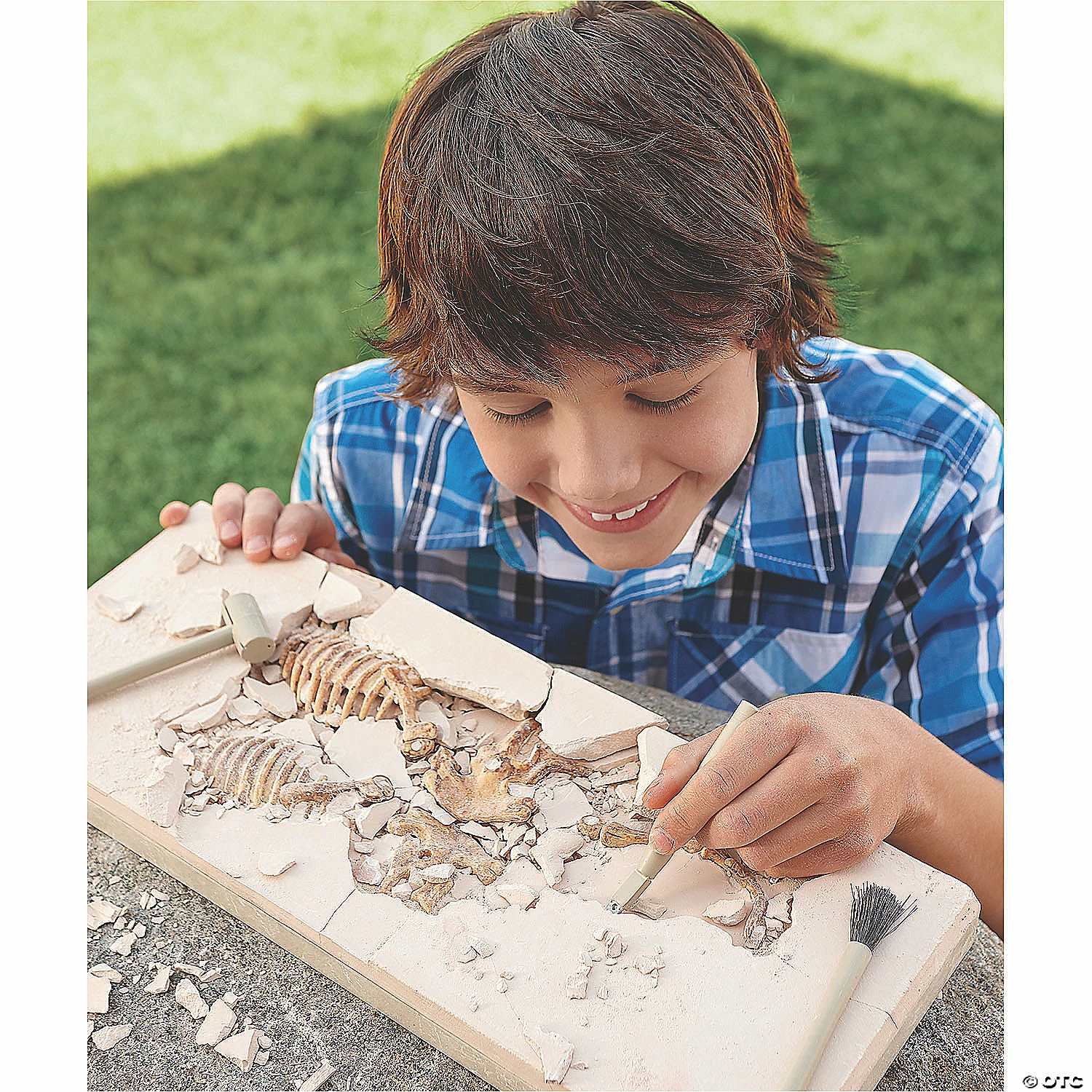 MW Dig It Up! Dino Model: Triceratops 4 MW Dig It Up! Dino Model: Triceratops - Image 2