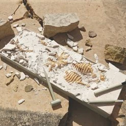 MW Dig It Up! Dino Model: Triceratops 9 MW Dig It Up! Dino Model: Triceratops -Kids Art Supplies Store dig it up dino model triceratops13940907 a02