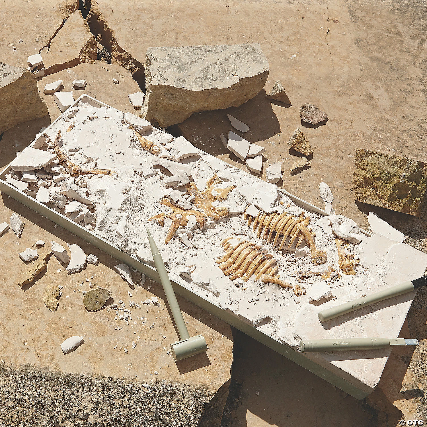 MW Dig It Up! Dino Model: Triceratops 5 MW Dig It Up! Dino Model: Triceratops - Image 3