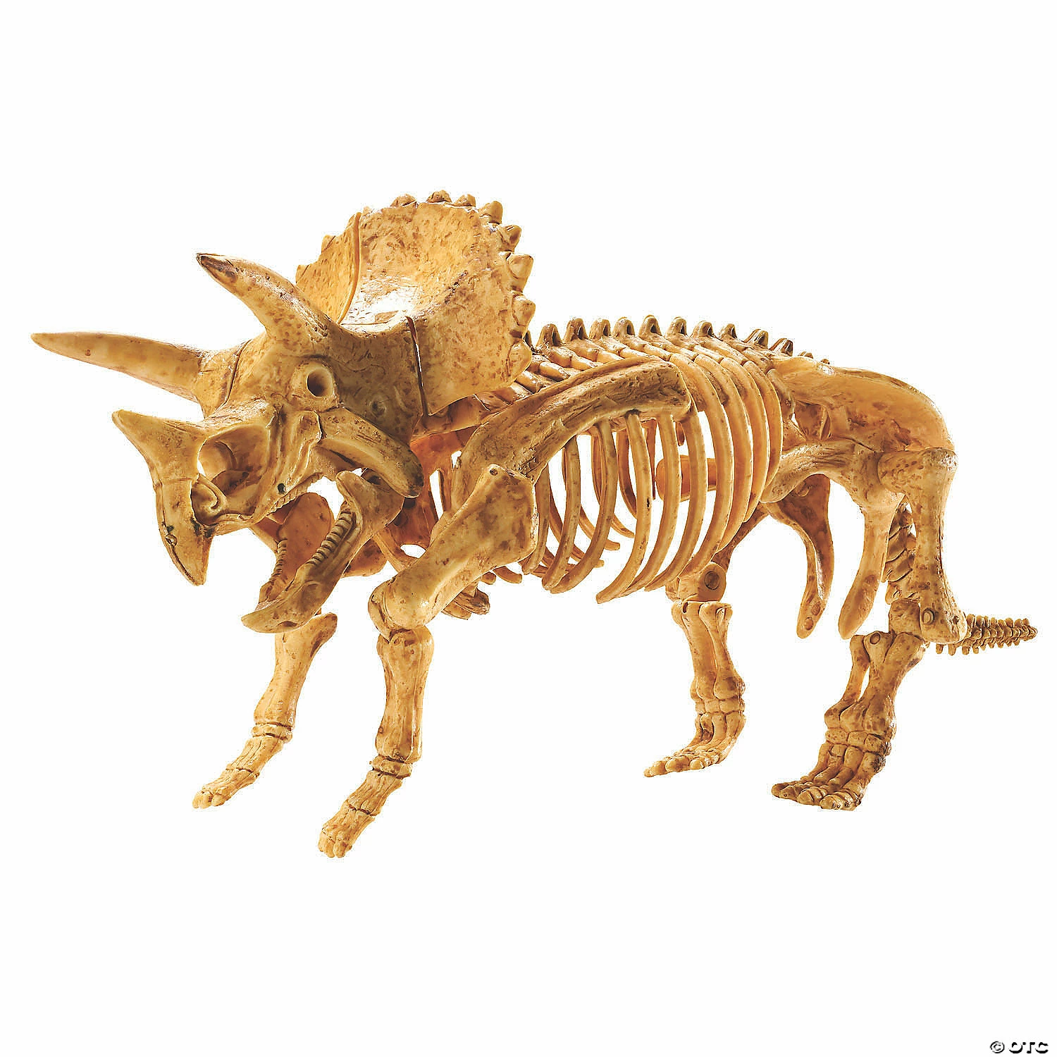 MW Dig It Up! Dino Model: Triceratops 6 MW Dig It Up! Dino Model: Triceratops - Image 4