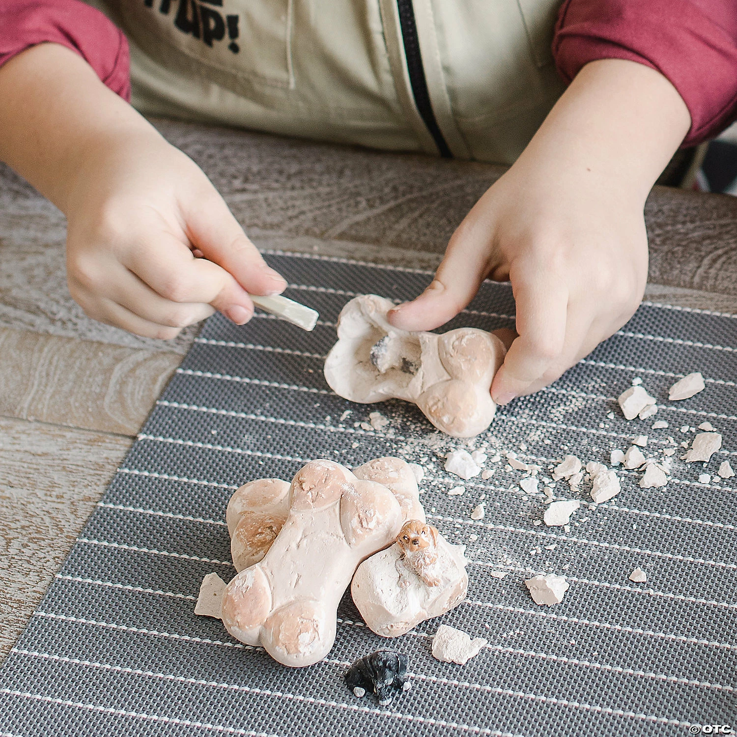 MW Dig It Up! Discoveries: Puppies 5 MW Dig It Up! Discoveries: Puppies - Image 3