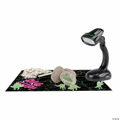 MW Dig It Up! Glow-in-the-Dark Dinosaurs 10 MW Dig It Up! Glow-in-the-Dark Dinosaurs -Kids Art Supplies Store dig it up glow in the dark dinosaurs14094382 a04