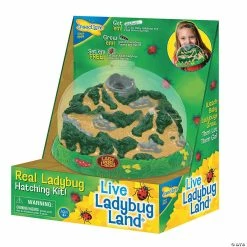 MW Ladybug Land