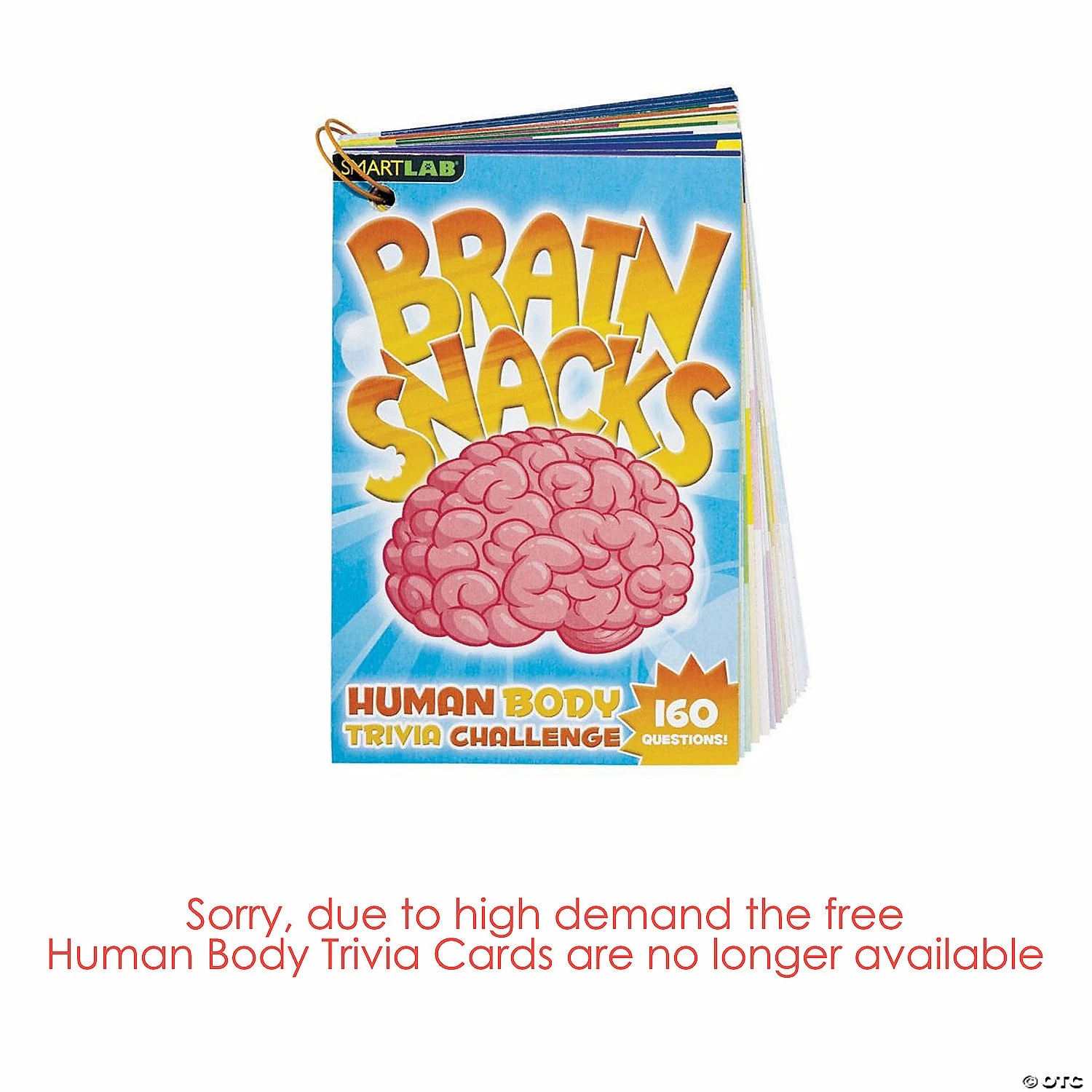 MW Squishy Human Body 4 MW Squishy Human Body - Image 2