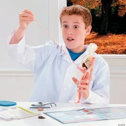 MW Squishy Human Body 9 MW Squishy Human Body -Kids Art Supplies Store squishy human body56164 a02