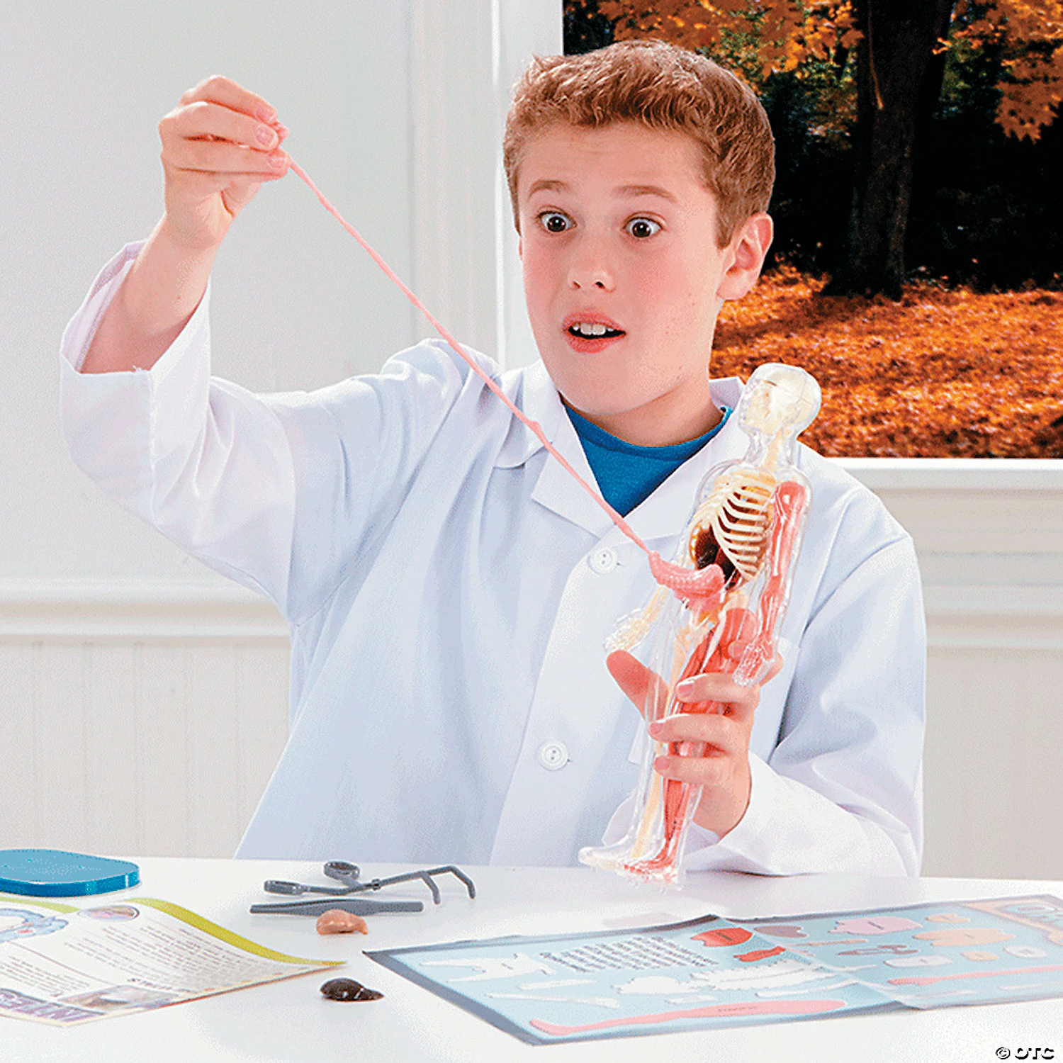 MW Squishy Human Body 5 MW Squishy Human Body - Image 3