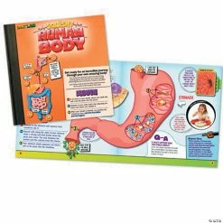 MW Squishy Human Body 10 MW Squishy Human Body -Kids Art Supplies Store squishy human body56164 a03